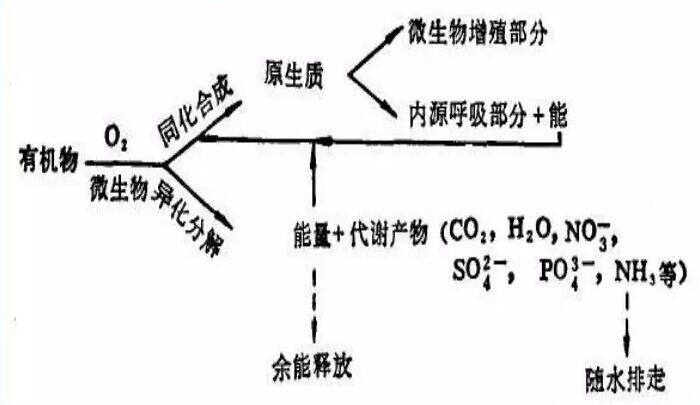 QQ圖片20180724165201.jpg